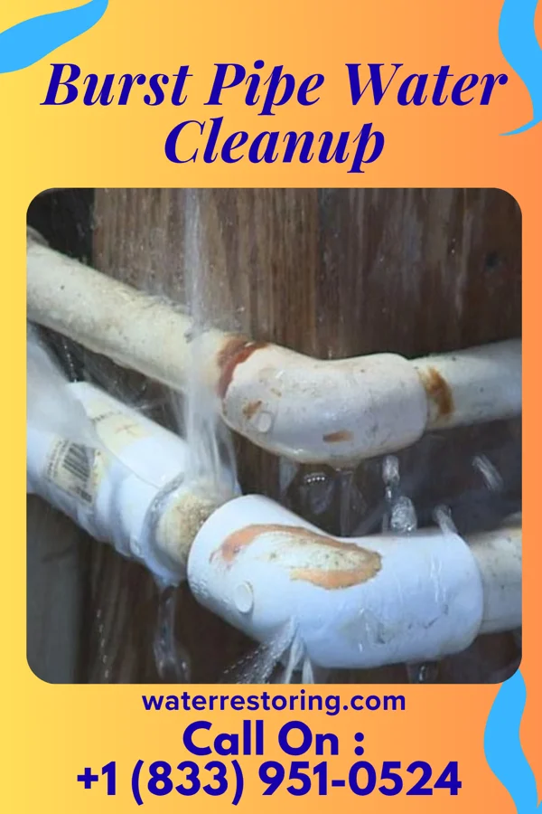 Burst Pipe Water Cleanup in Sioux Rapids, IA