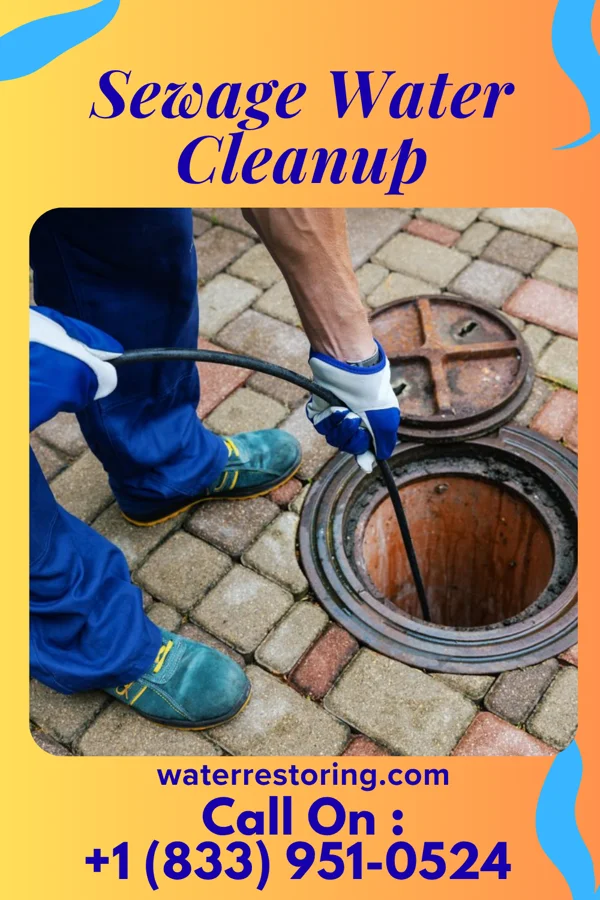 Sewage Water Cleanup in Sioux Rapids, IA