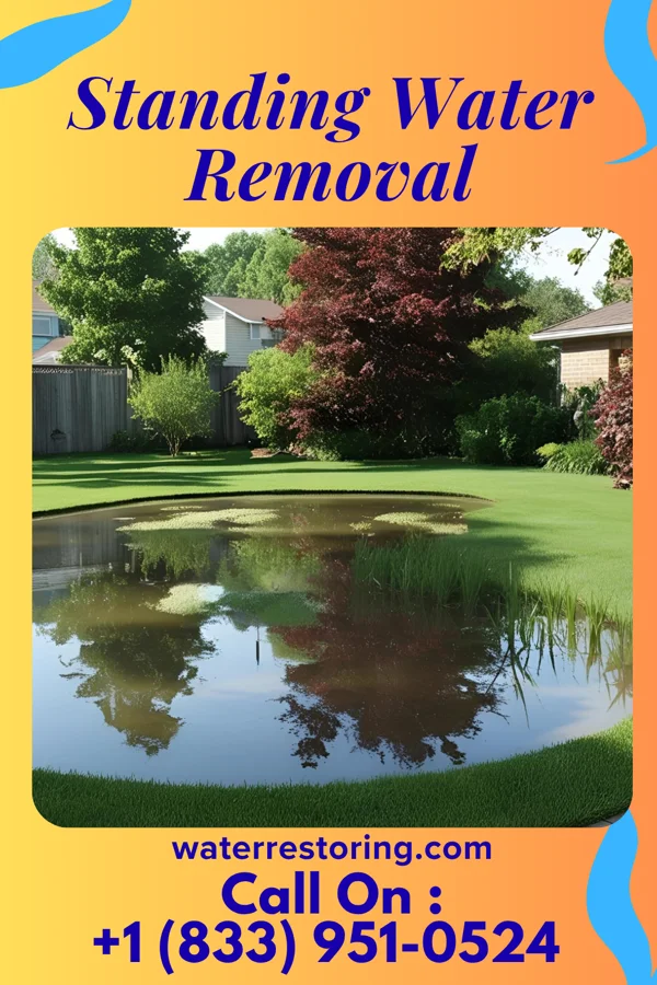 Standing Water Removal in Sioux Rapids, IA